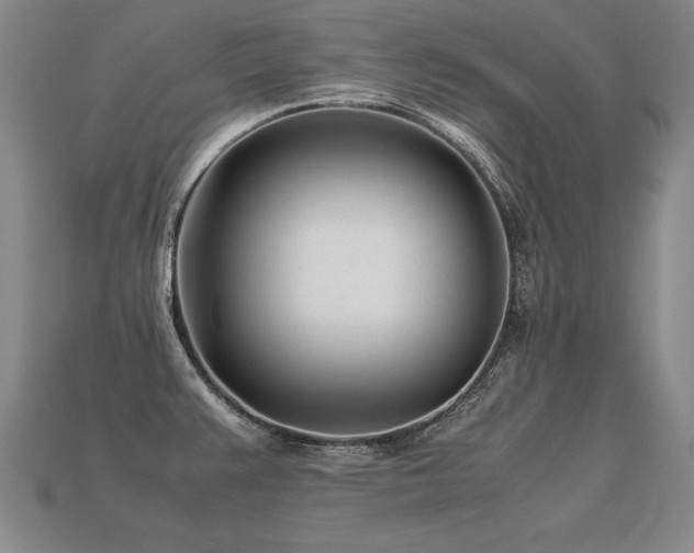 X0000113621383200909181430