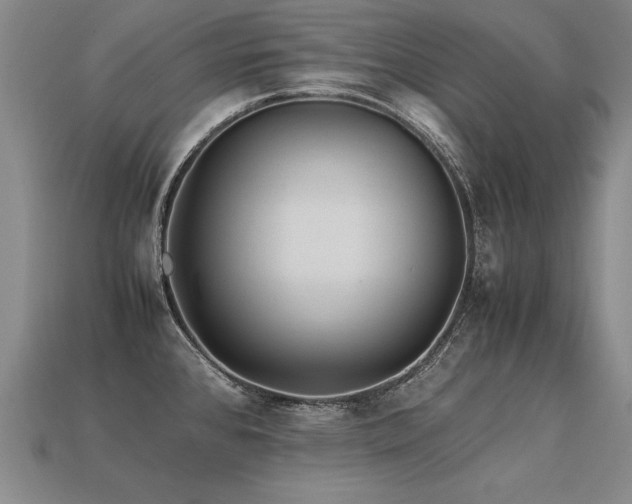 X0000113621384200909181430