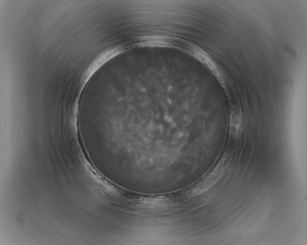 X0000113621386200909181430