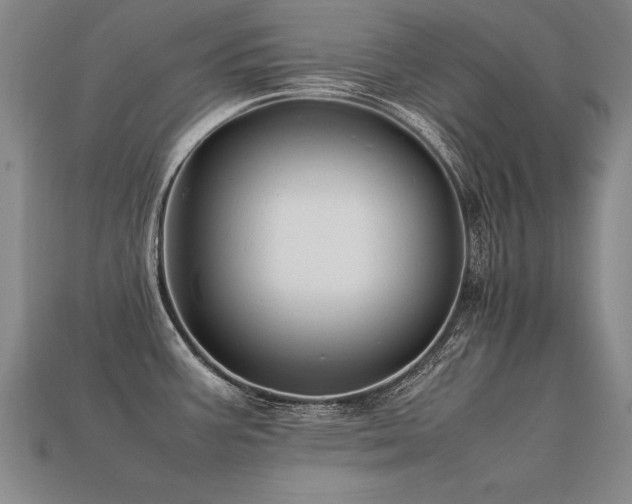 X0000113621387200909181430