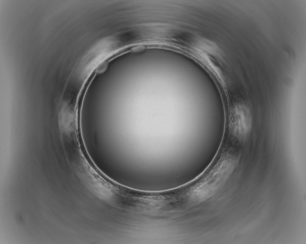 X0000113621388200909181430