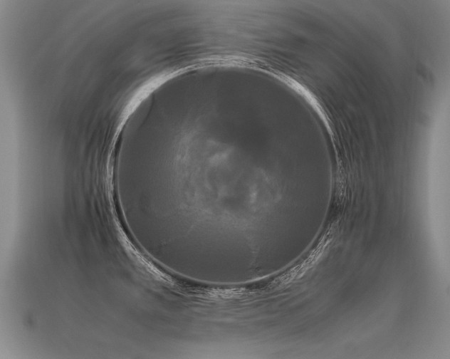 X0000113621389200909181430