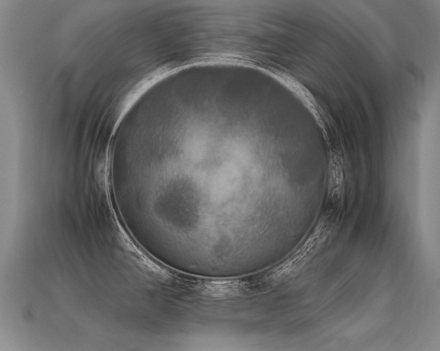 X0000113621390200909181430