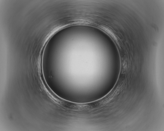 X0000113621391200909181430