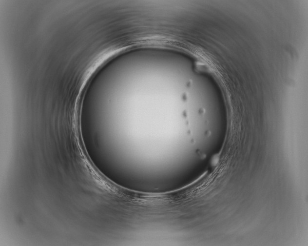 X0000113621392200909181430