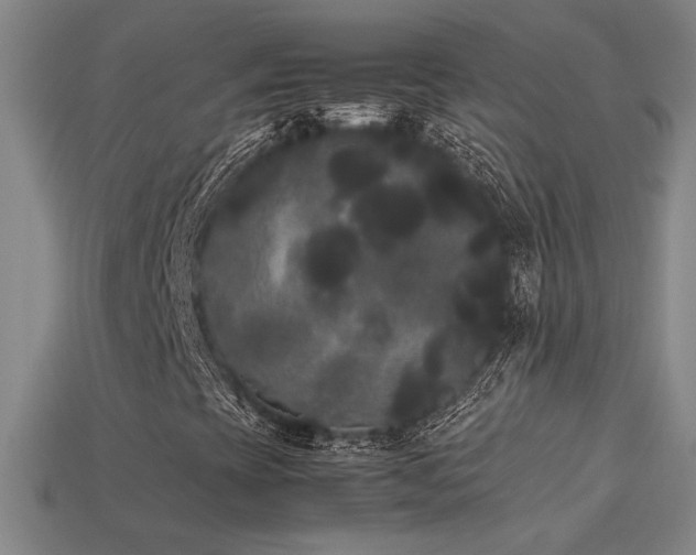 X0000113621393200909181430