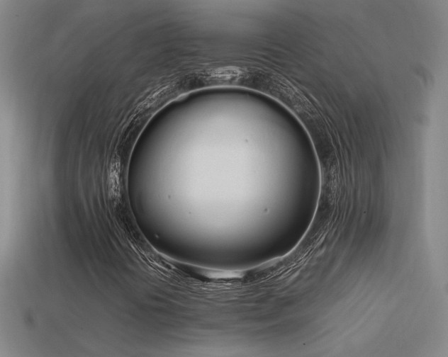 X0000113621394200909181430