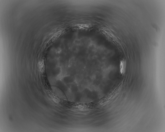 X0000113621395200909181430