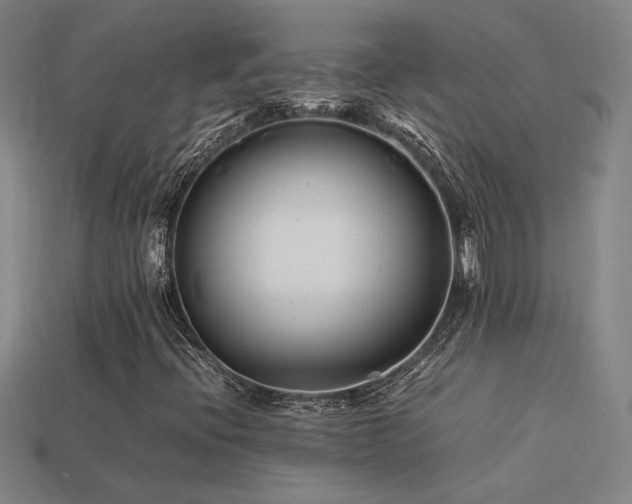 X0000113621396200909181430