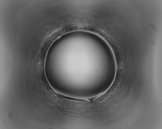 X0000113621398200909181430