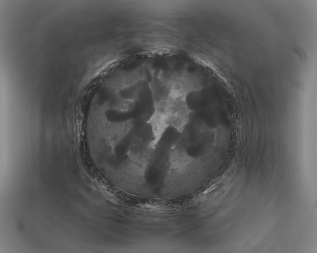 X0000113621399200909181430