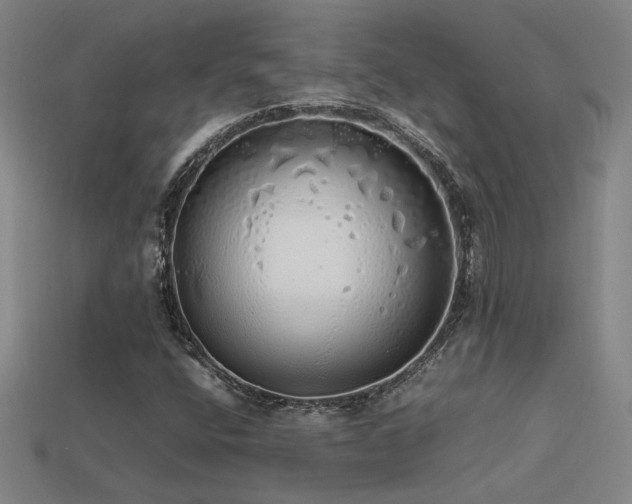 X0000113621400200909181430