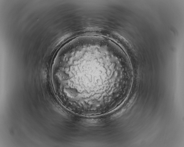 X0000113621401200909181430