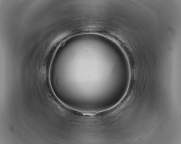 X0000113621402200909181430