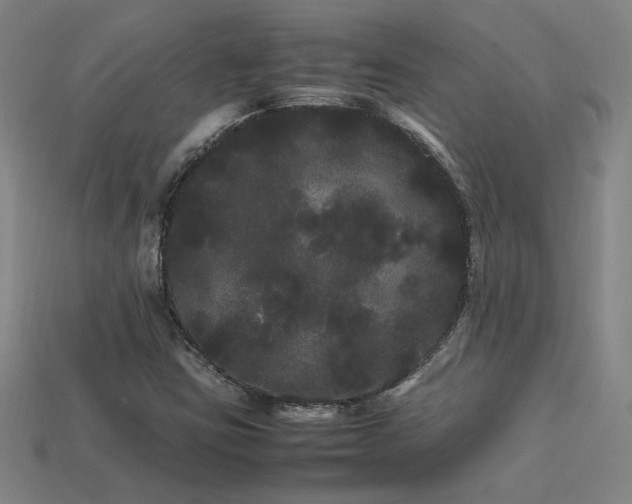 X0000113621403200909181430