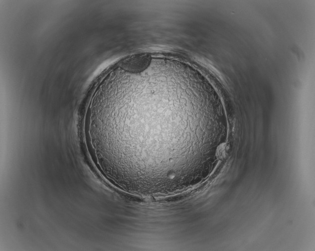 X0000113621404200909181430