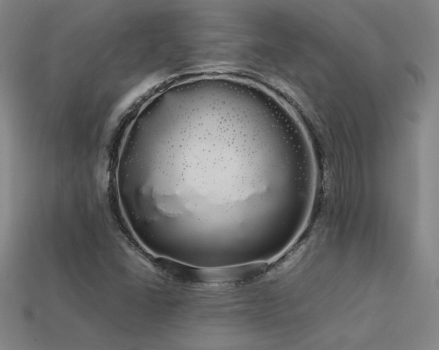 X0000113621406200909181430