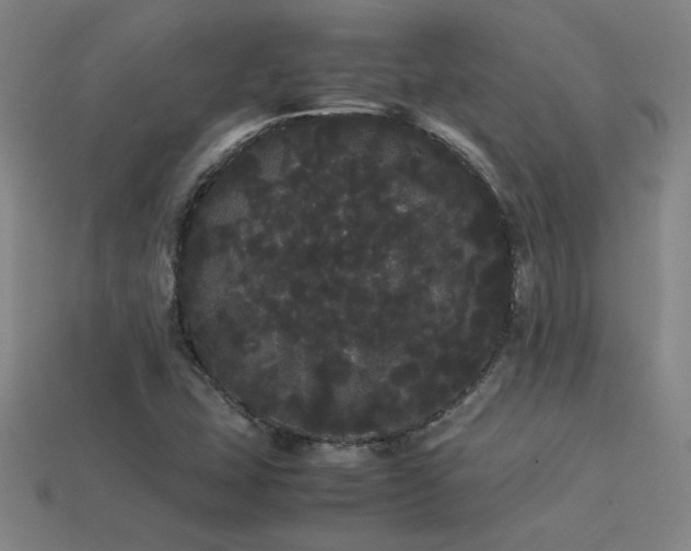 X0000113621407200909181430