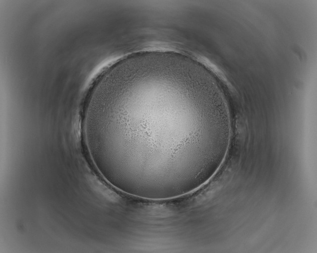 X0000113621408200909181430