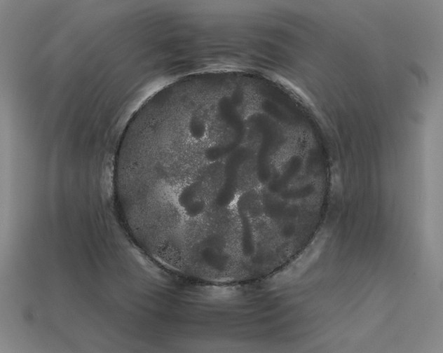 X0000113621409200909181430