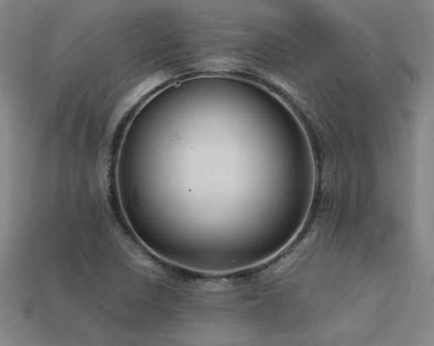 X0000113621410200909181430