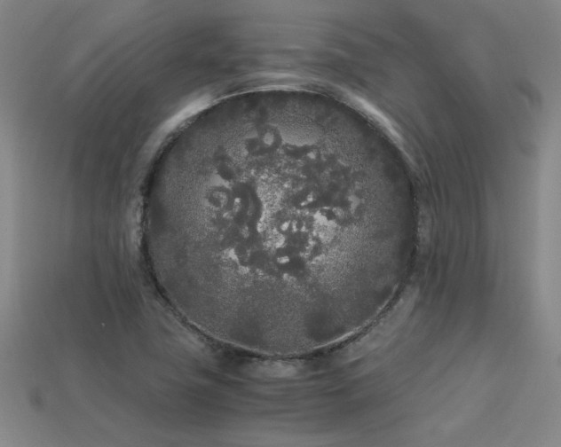 X0000113621411200909181430