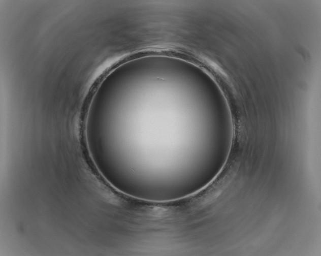 X0000113621412200909181430