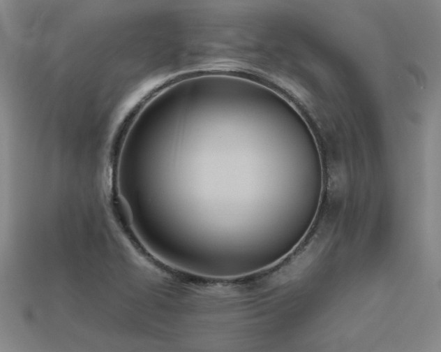 X0000113621414200909181430