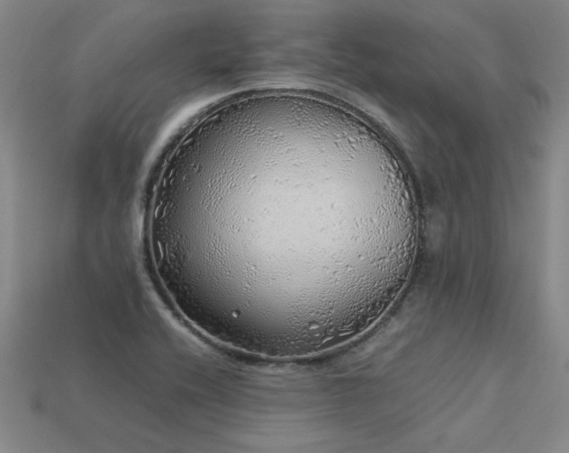 X0000113621416200909181430