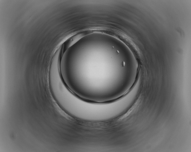 X0000113621417200909181430