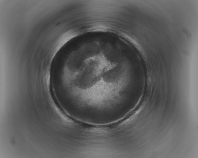 X0000113621418200909181430