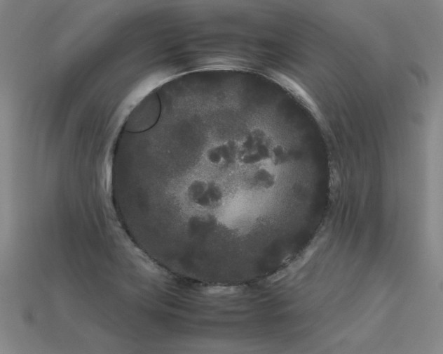 X0000113621419200909181430