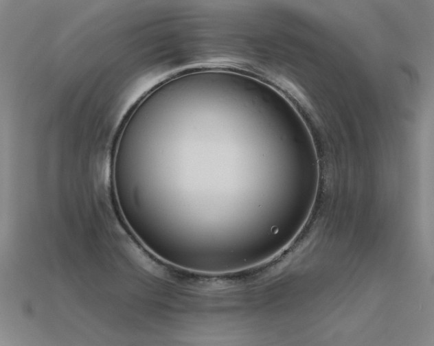 X0000113621420200909181430