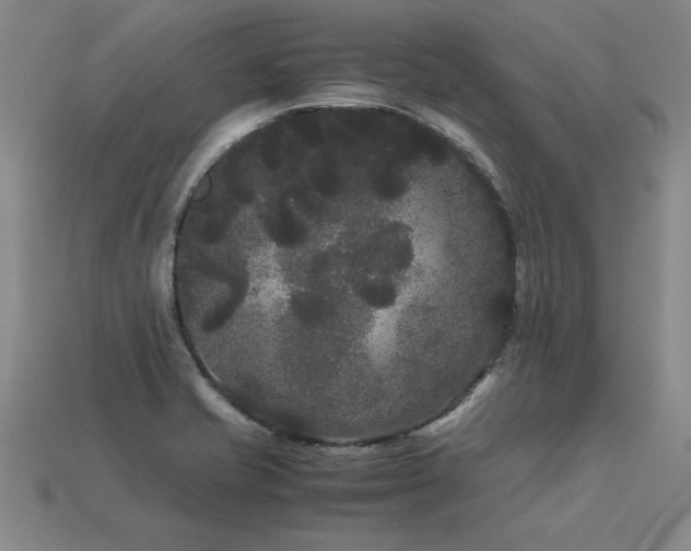 X0000113621421200909181430