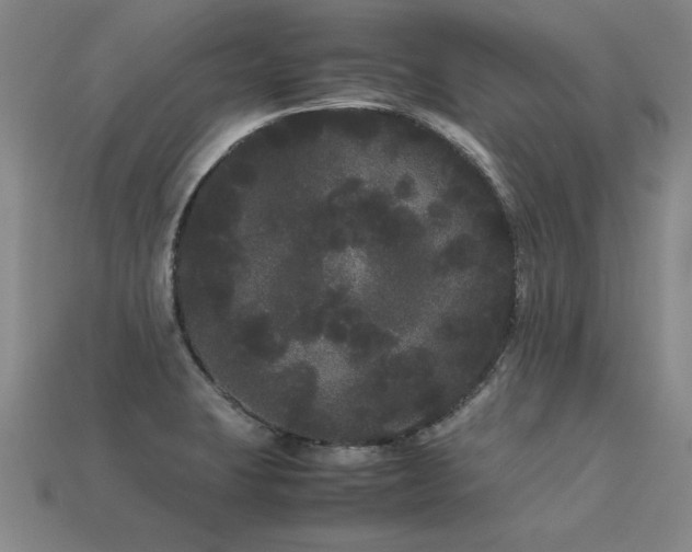 X0000113621423200909181430