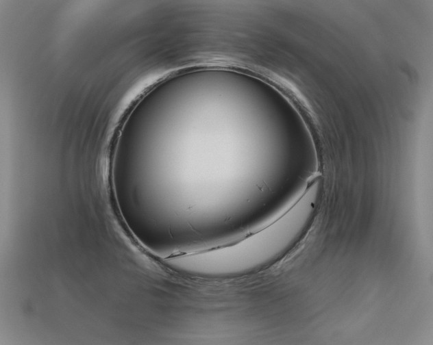 X0000113621424200909181430