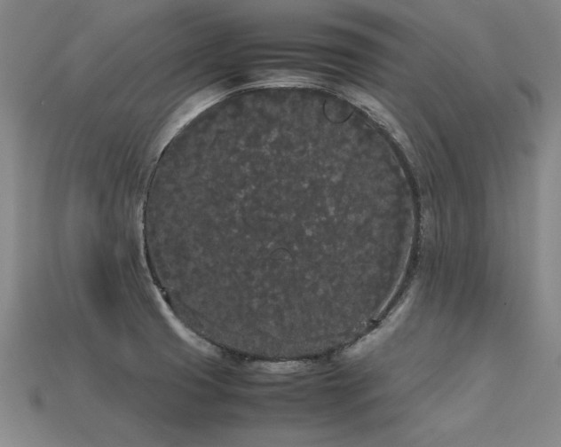 X0000113621425200909181430