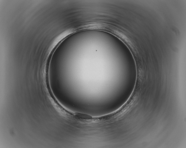 X0000113621426200909181430