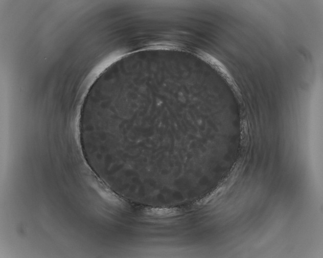 X0000113621427200909181430