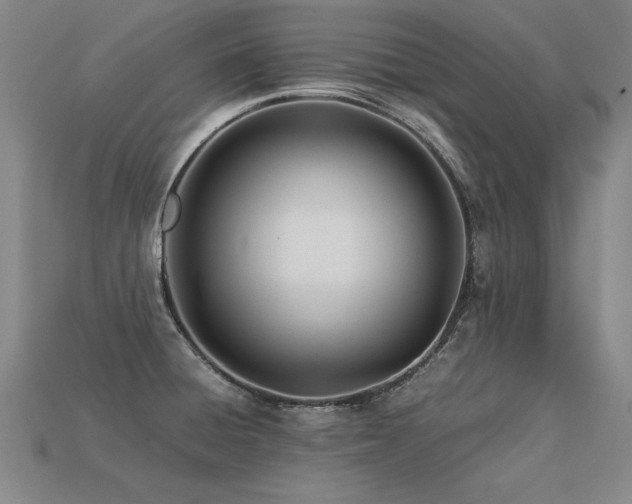 X0000113621428200909181430