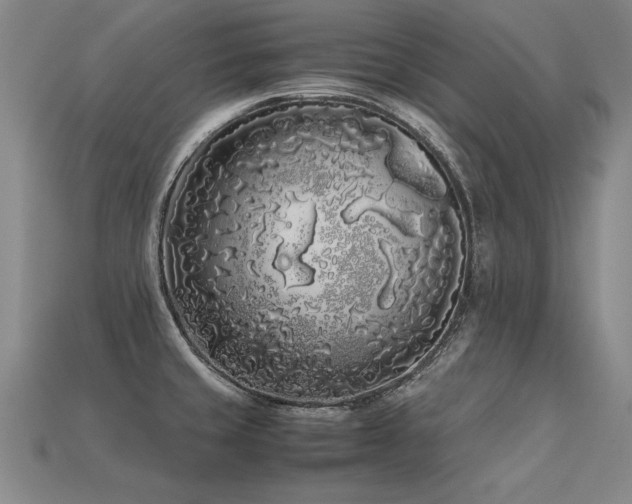 X0000113621429200909181430