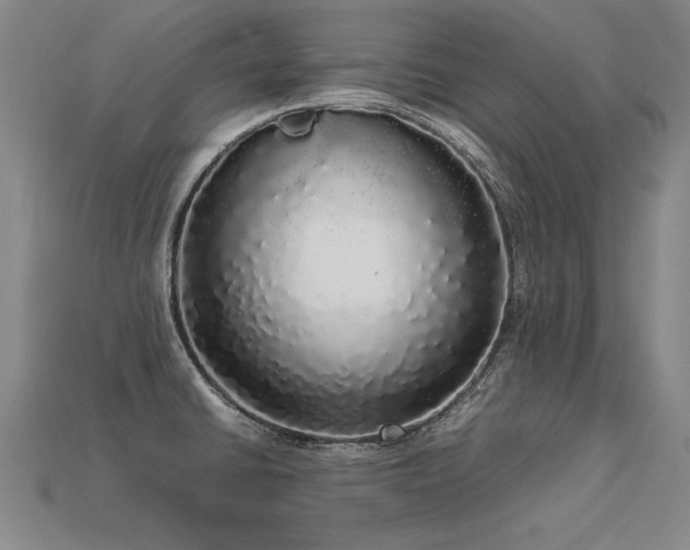 X0000113621430200909181430