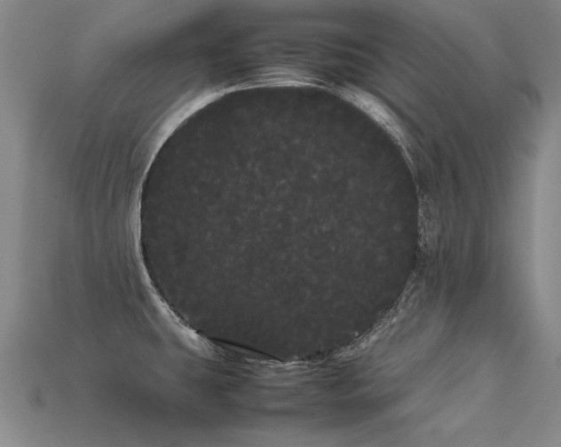 X0000113621431200909181430