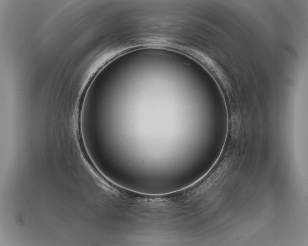 X0000113621432200909181430