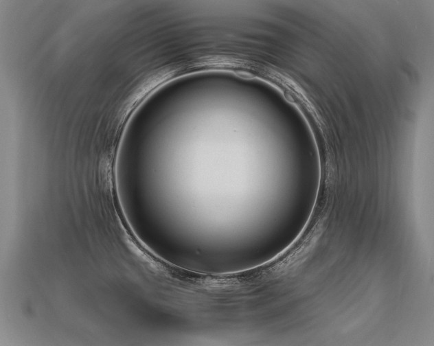 X0000113621433200909181430