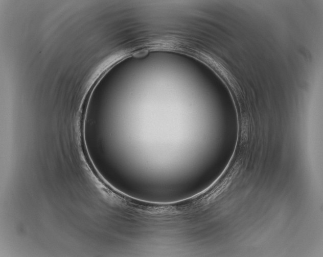 X0000113621434200909181430