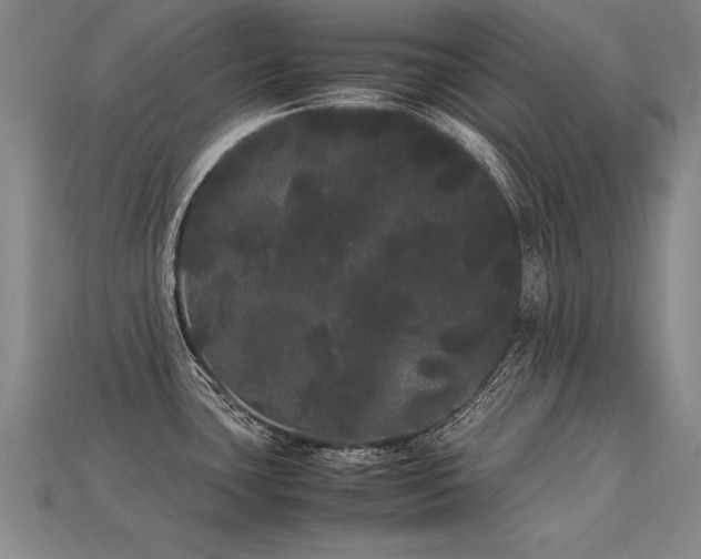 X0000113621435200909181430