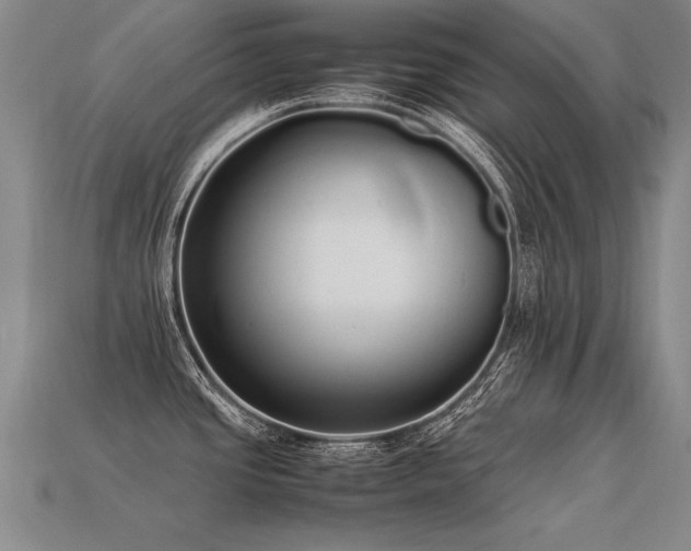 X0000113621437200909181430