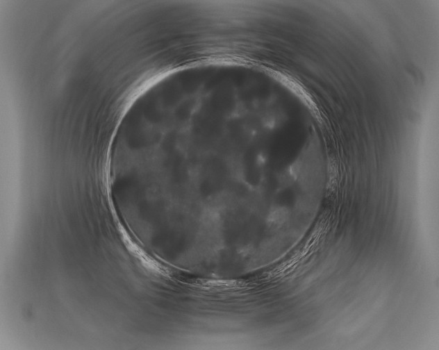 X0000113621439200909181430