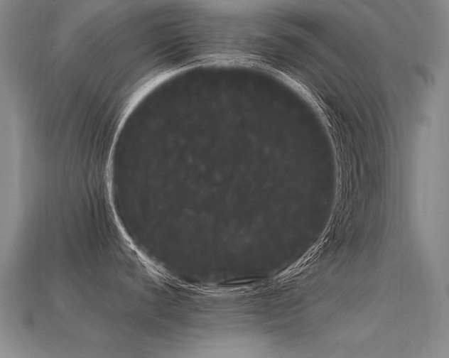 X0000113621440200909181430